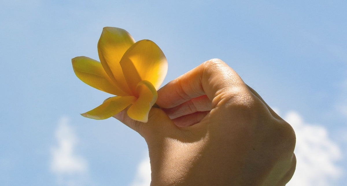 Sustainability: Taking baby steps toward a greener world