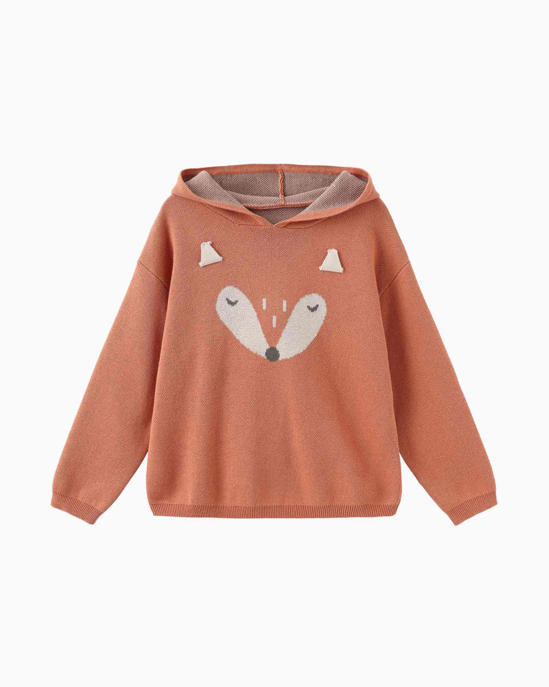 Fox Kids Hoodie